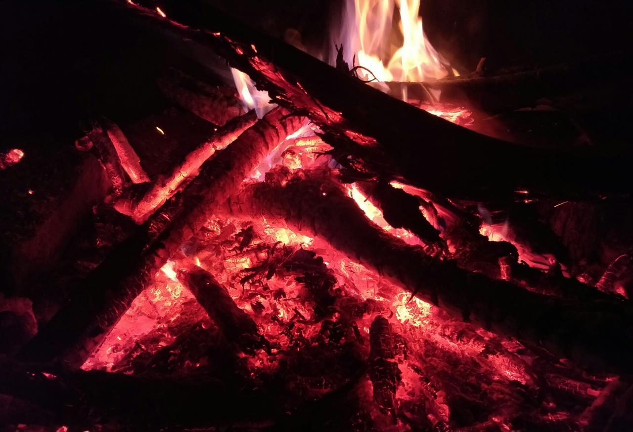 Chikmagalūr Bluebell Homestay מראה חיצוני תמונה